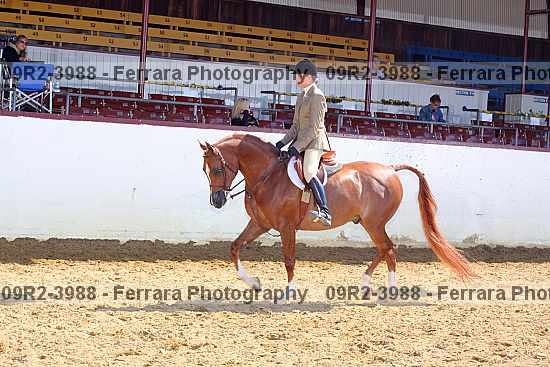 Proof 09r2-3988