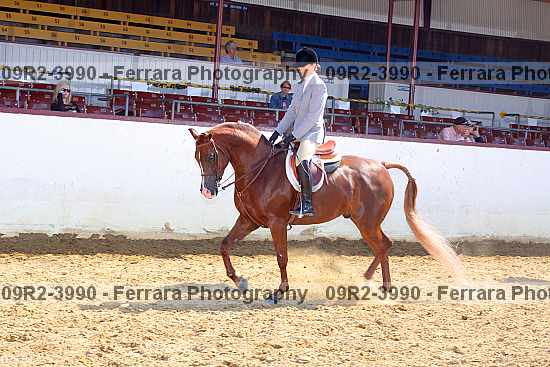 Proof 09r2-3990