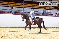 09r2-4000 proof