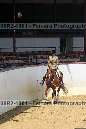 Proof 09r2-4001
