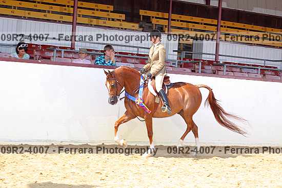 Proof 09r2-4007