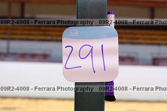 Proof 09r2-4008