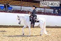 09r2-4012 proof