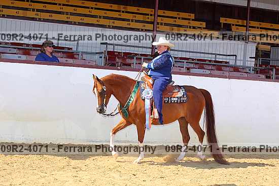 Proof 09r2-4071