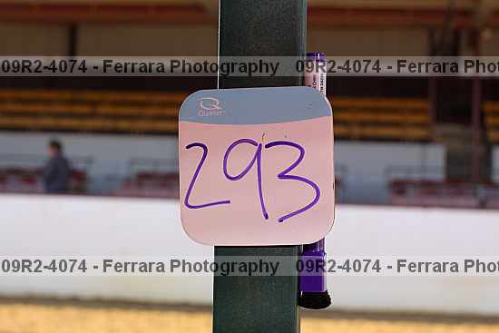 Proof 09r2-4074