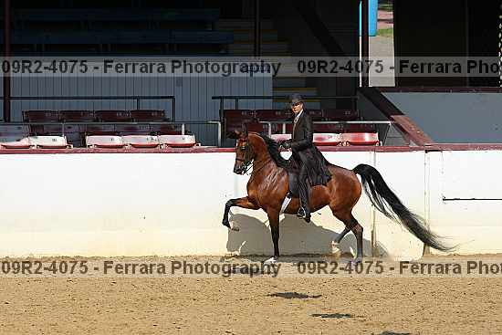 Proof 09r2-4075