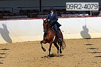 09r2-4079 proof