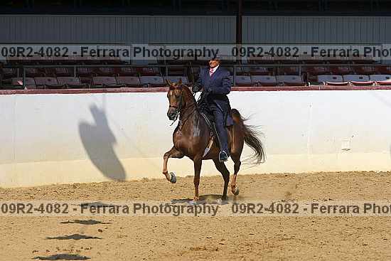 Proof 09r2-4082