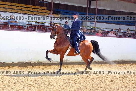 Proof 09r2-4083