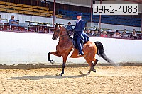 09r2-4083 proof