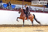 09r2-4084 proof