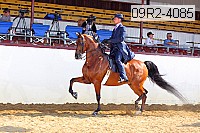09r2-4085 proof