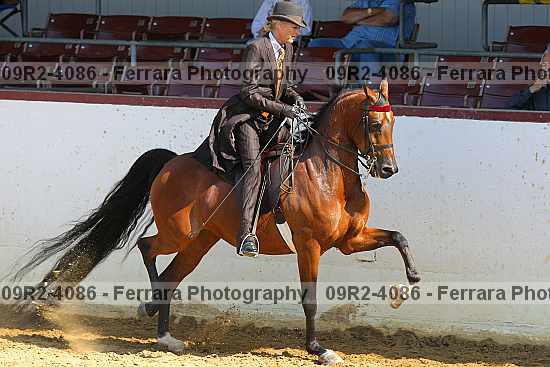 Proof 09r2-4086