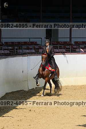 Proof 09r2-4095