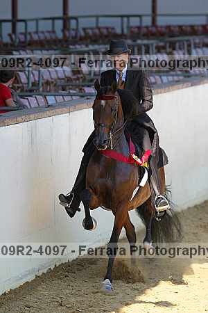 Proof 09r2-4097
