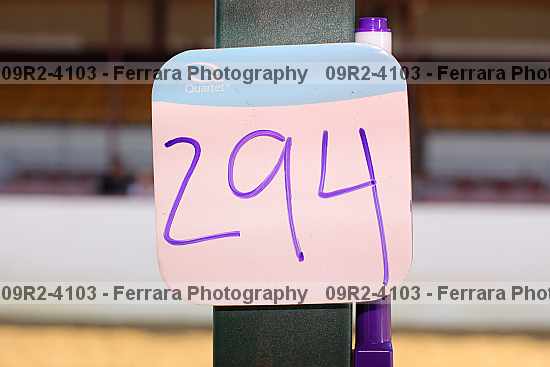 Proof 09r2-4103