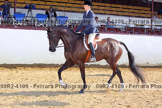 Proof 09r2-4109