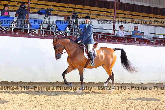 Proof 09r2-4118