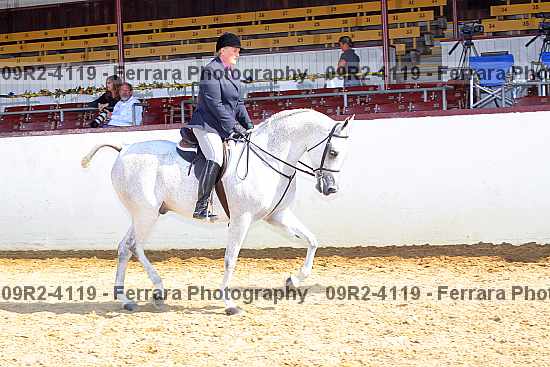 Proof 09r2-4119