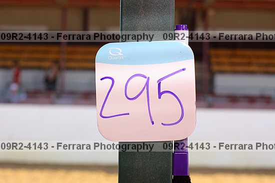 Proof 09r2-4143