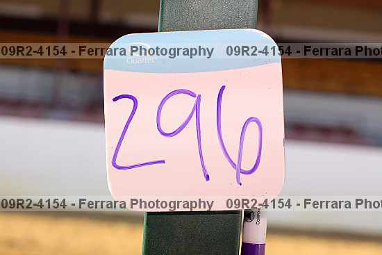 Proof 09r2-4154
