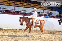 09r2-4155 proof