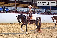 09r2-4177 proof