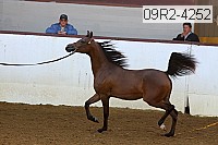 09r2-4252 proof