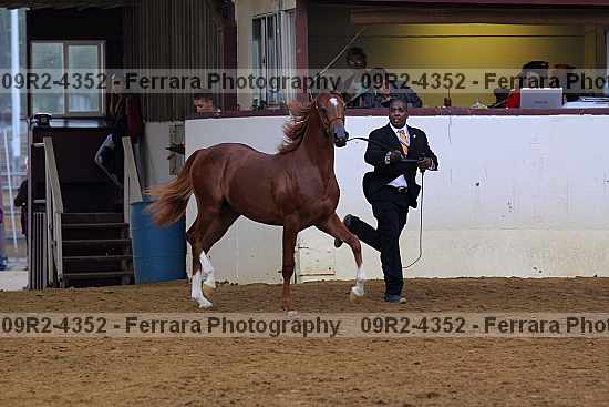 Proof 09r2-4352