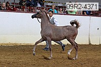 09r2-4371 proof