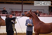 09r2-4378 proof