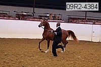 09r2-4384 proof