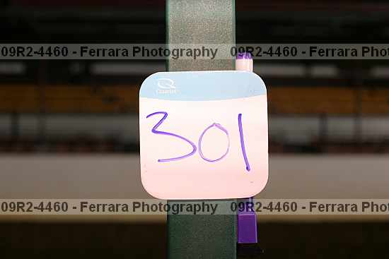 Proof 09r2-4460