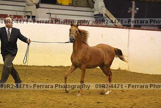 Proof 09r2-4471