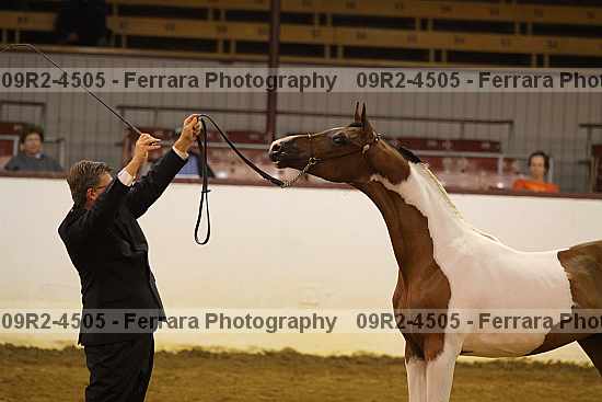 Proof 09r2-4505