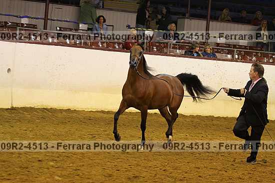 Proof 09r2-4513