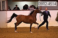 09r2-4514 proof