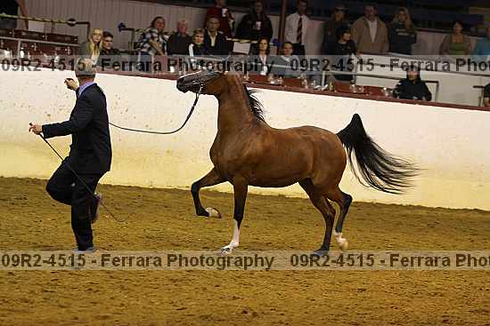 Proof 09r2-4515