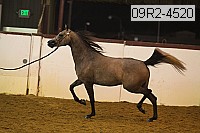 09r2-4520 proof