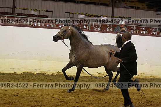 Proof 09r2-4522