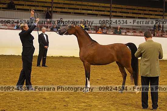 Proof 09r2-4534