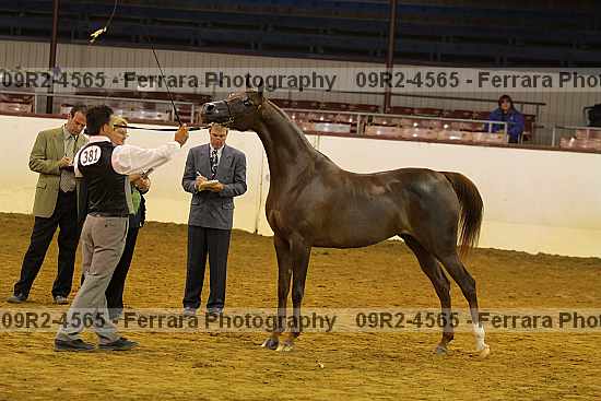 Proof 09r2-4565