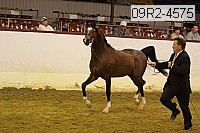 09r2-4575 proof