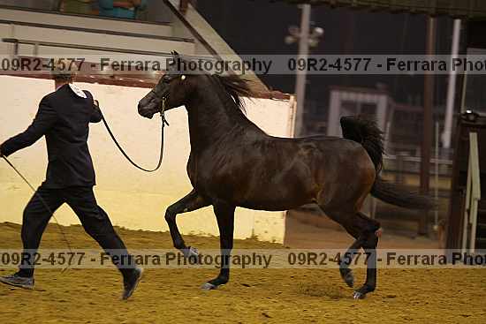 Proof 09r2-4577