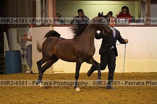 Proof 09r2-4581