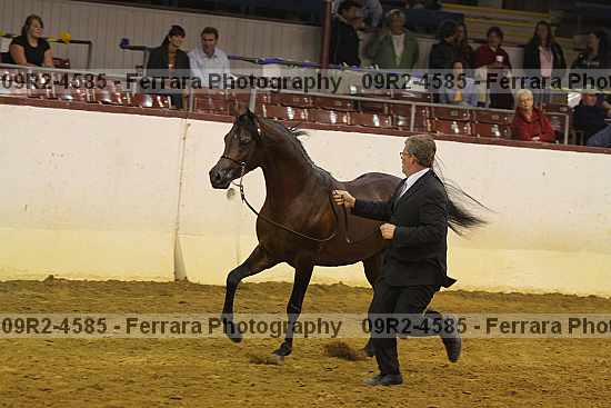 Proof 09r2-4585