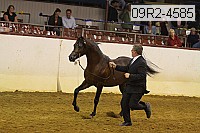 09r2-4585 proof