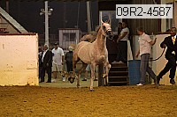 09r2-4587 proof