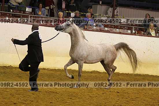 Proof 09r2-4592