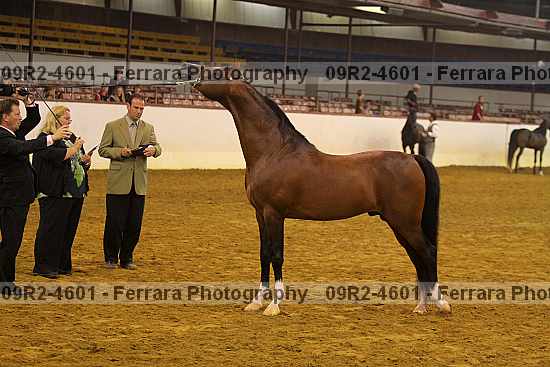 Proof 09r2-4601